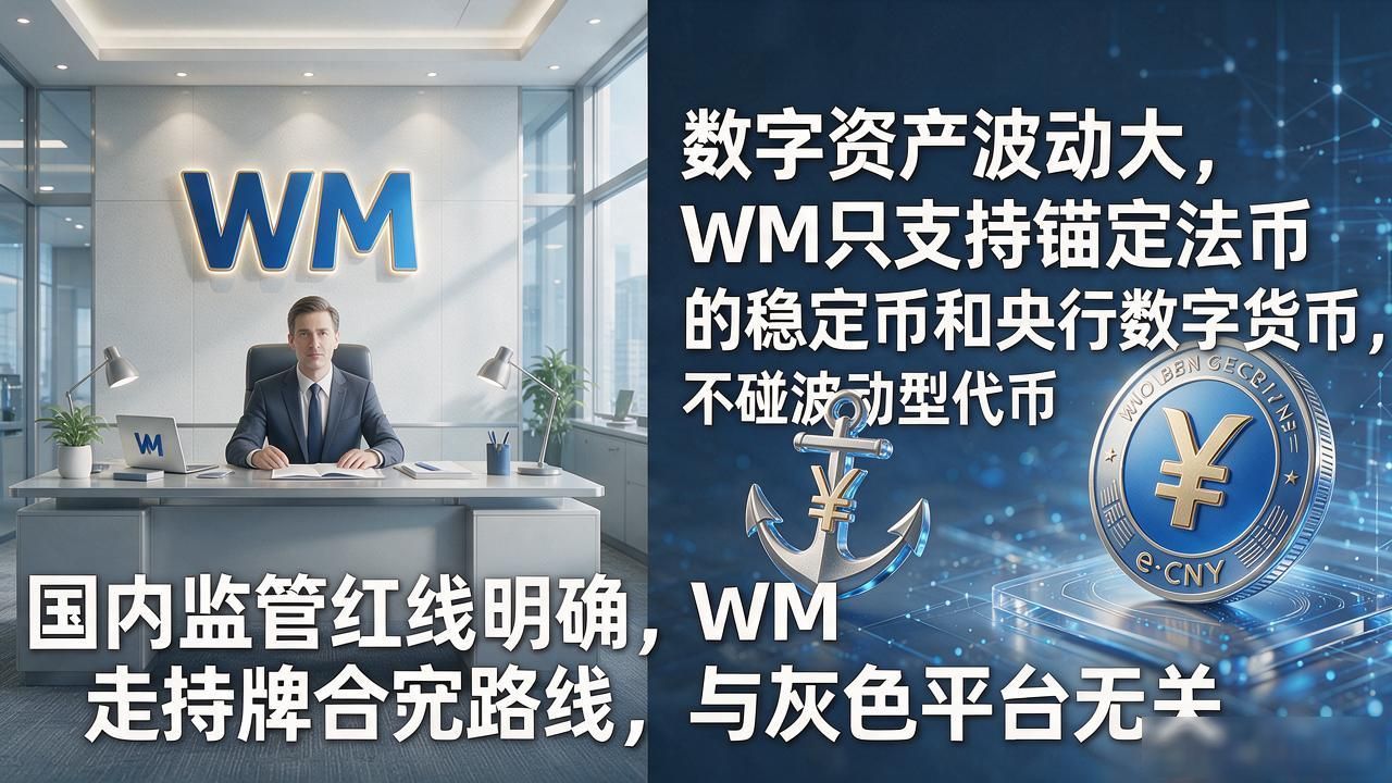 数字资产支付清算网络_WM进军数字货币_跨境支付数字货币
